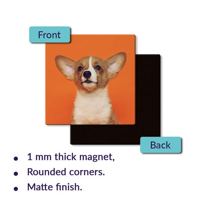 Square Custom Photo Fridge Magnet | Personalize & Gift Memories
